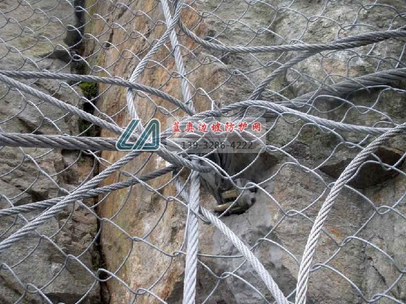 ߅�·��o(h��)�W(w��ng)�^�U�ķN�