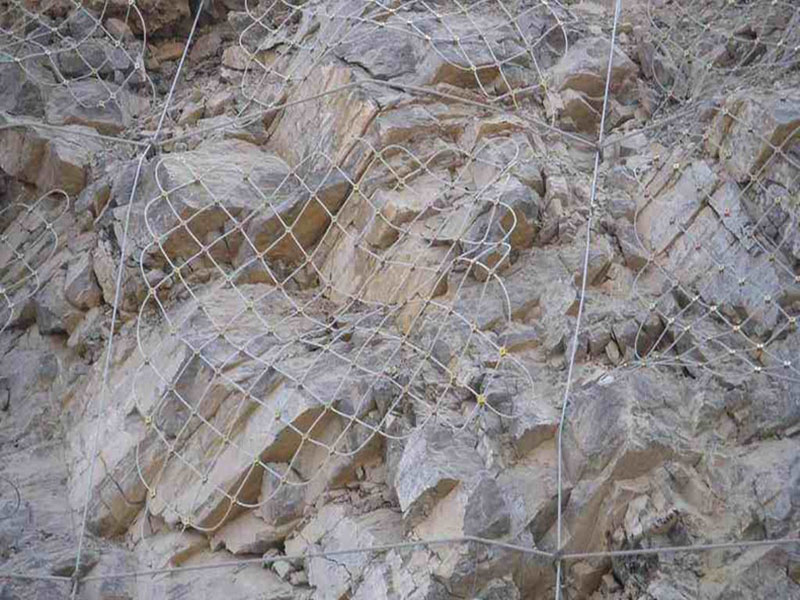 GPS2主動防護網(wǎng)